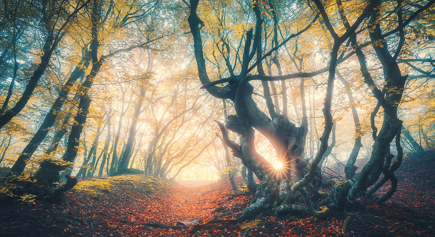 The Raven of the Slain